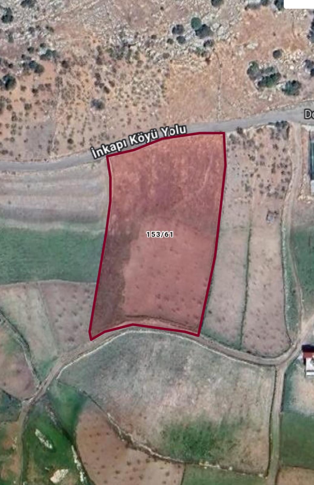Satılık Fıstık bahçesi 7.338 M²  Siirt / Merkez / Doluharman Köyü - SİİRT MERKEZ fotoğraf 2